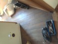 /album/parquet-teck-colle/a2005-02-25-11-24-34-jpg/